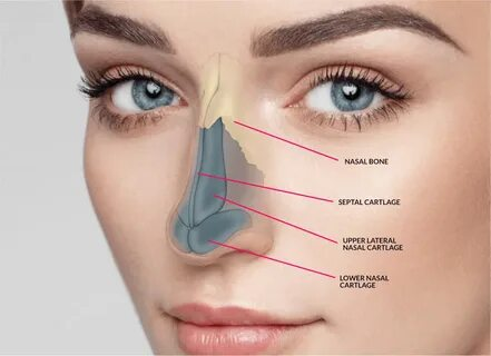 Woman after nose surgery with smooth, natural results in Beverly Hills clinic.