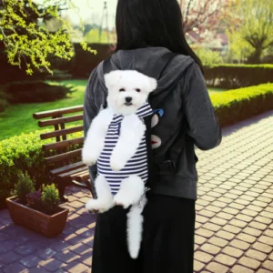 small dog in bag