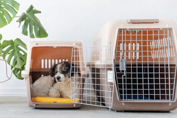 Benefits of Using a Dog Cage Small Dog for Training and Travel dog cage small dog