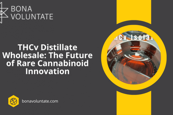 THCv Distillate Wholesale: The Future of Rare Cannabinoid Innovation THCv Distillate Wholesale