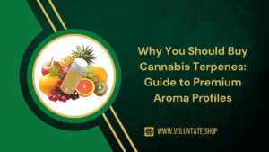 buy cannabis terpenes