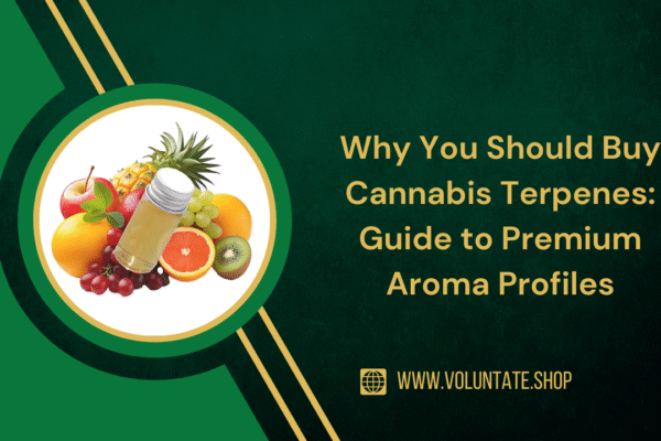 Why You Should Buy Cannabis Terpenes: Guide to Premium Aroma Profiles buy cannabis terpenes