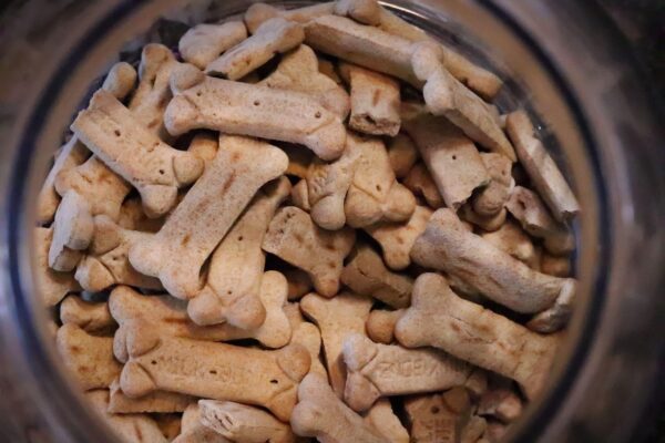 grain free wet dog food