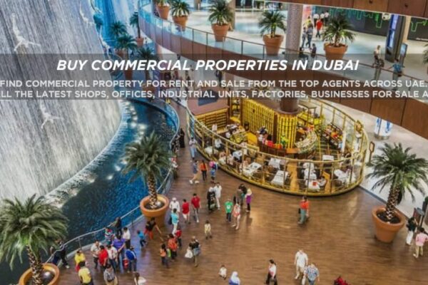 Commercial Property Investment in Dubai