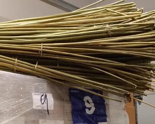 Dry Hemp Stalks Versatile, Sustainable Value for Industry Dry Hemp Stalks