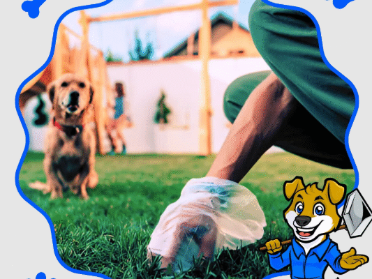 The Ultimate Guide to Dog Pooper Scooper Services: Keep Your Yard Clean and Fresh