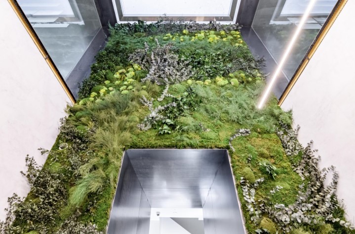 Jardín Vertical Preservado