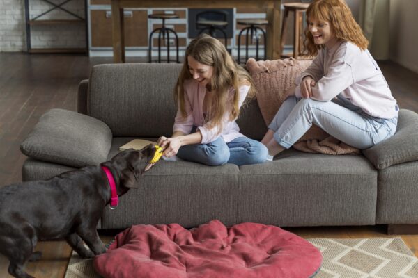 Aroma Diffuser UAE: Safe Scenting Tips for Homes With Kids & Pets