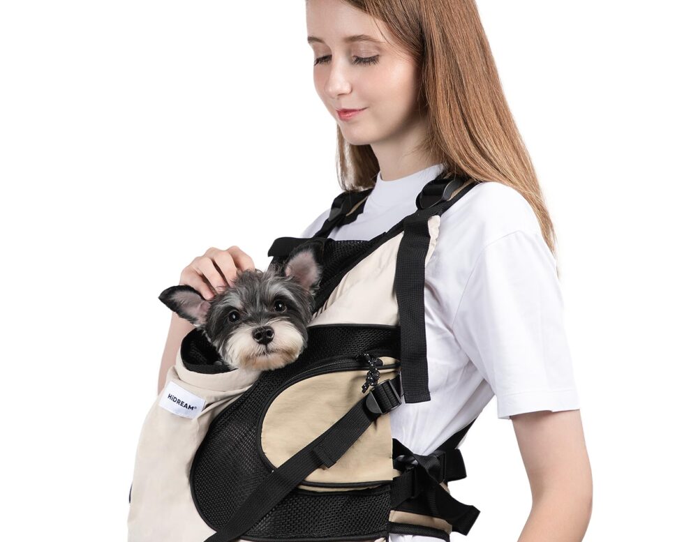 small dog in bag