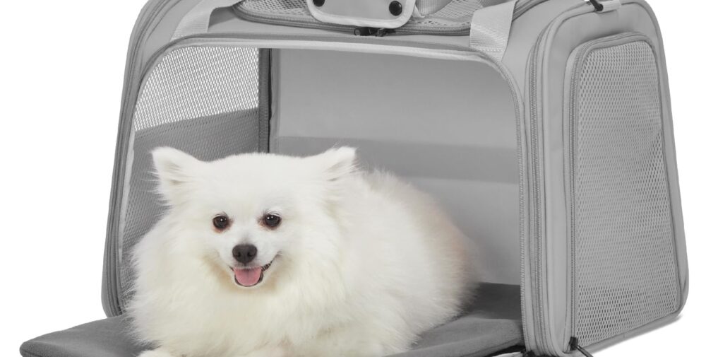 petsathomedogcagesmall
